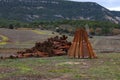 Wicker plantation fields in CaÃÂ±amares, Cuenca Royalty Free Stock Photo