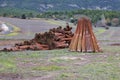 Wicker plantation fields in CaÃÂ±amares, Cuenca Royalty Free Stock Photo