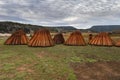 Wicker plantation fields in CaÃÂ±amares, Cuenca