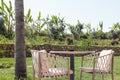 Wicker rattan chairs on floating bar counter with garden outside. Summer resort cafe . Trendy outdoor design. Royalty Free Stock Photo