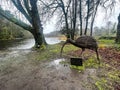 Wicker Reed Structure of the curlew bird at Cong Abbey in Ireland