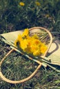 A wicker retro bag with a bouquet of yellow dandelions lies on the grass Royalty Free Stock Photo