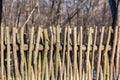 Wicker rustic wooden fence