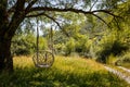 A wicker swing chair hangs on a large tree branch.