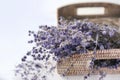 Wicker tray with beautiful lavender flowers on white background, closeup Royalty Free Stock Photo