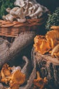 Wicker tray with chanterelle mushrooms on wooden table. Knife, basket with mushrooms and fresh herbs Royalty Free Stock Photo