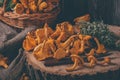 Wicker tray with chanterelle mushrooms on wooden table. Knife, basket with mushrooms and fresh herbs Royalty Free Stock Photo