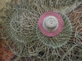 Wickerwork hat and mat texture made from dry sedge background.Closeup surface texture of hand made craft work. Royalty Free Stock Photo