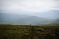 Wicklow Mountains Road and Bicycles. This place is famous for uncontaminated nature, misty landscapes and lakes. Royalty Free Stock Photo