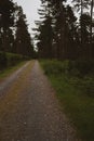 Wicklow Mountains Road and Bicycles. This place is famous for uncontaminated nature, misty landscapes, and spectral lakes. fern in Royalty Free Stock Photo