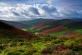 Wicklow Valley