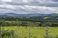 Wicklow way landscape with some sheeps Royalty Free Stock Photo