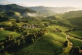 Wide aerial shot of a lush coffee plantation surrounded by rolling hills and misty mountains, capturing the scenic beauty and