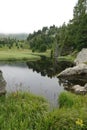 Wide angle Austrian calm scenic alps landscape of a conifer pine tree, rocks at a small lake Royalty Free Stock Photo