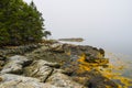 Wide Angle Beauty on the Coast of Maine