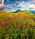 Wide angle capture of Chornogora mountain range with Turkul peak on background.