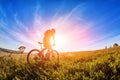 Wide angle of the cyclist with mountain bicyclist against beautiful landscape. Royalty Free Stock Photo