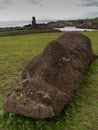 Wide Angle Fallen Moai