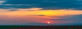 Wide angle panorama of field with blooming red poppies at sunset time Royalty Free Stock Photo