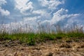 Wide angle photo from low point of view, of a sandy path with grass and reeds. An impressive blue sky with white clouds Royalty Free Stock Photo