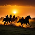 Wide angle photo silhouette of horses running on the sun is silhouette of running wild horses dusk and