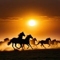 Wide angle photo silhouette of horses running on the sun is silhouette of running wild horses dusk and