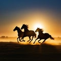 Wide angle photo silhouette of horses running on the sun is silhouette of running wild horses dusk and