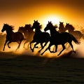 Wide angle photo silhouette of horses running on the sun is silhouette of running wild horses dusk and