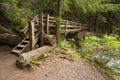 Wide angle photo of wooden Nature Bridge end near Marymere Falls, Olympic National Park Royalty Free Stock Photo