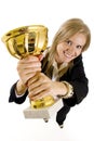 Wide angle picture of an attractive businesswoman Royalty Free Stock Photo