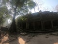 Wide angle picture of outside temple ruins of angkor wat, cambodia with sun shining through tree