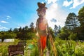 Scarecrow in a community garden Royalty Free Stock Photo