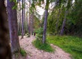 Wide angle picture of a Young female hiker walking on the hiking path or trail in polish Tatra mountains on the way from Zakopane Royalty Free Stock Photo