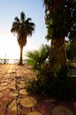 Wide-angle scenic morning landscape view of embankment with palm trees during sunrise. Resort on the Mediterranean Sea near Mersin Royalty Free Stock Photo