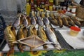 Wide angle shot of different fish being sold in a market Royalty Free Stock Photo
