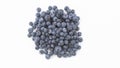 A wide angle shot of a fresh lush pile of blueberries Royalty Free Stock Photo