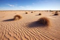 wide-angle shot of multiple tumbleweeds rolling across desert sand