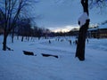 Wide angle shot people ice skating on an outdoor skating rink with think snow on the sides Royalty Free Stock Photo