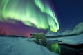 wide-angle shot of polar bear in arctic landscape with aurora lights Royalty Free Stock Photo