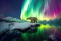 wide-angle shot of polar bear in arctic landscape with aurora lights Royalty Free Stock Photo