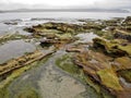 Wide angle shot of a rocky tidal shore Royalty Free Stock Photo