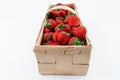 Wide angle shot of a wooden box full of red ripe strawberries isolated on white background. Harvesting summer fruits Royalty Free Stock Photo