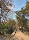 Wide angle shots of Safari Vehicles in the jungles of panna tiger reserve during the scorching summers