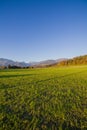 Wide angle Slovenian alps Royalty Free Stock Photo