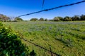 A Wide Angle View of a Beautiful Field Blanketed