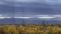 Wide Angle View Of A Desert Spring Landscape In Phoenix AZ Area Royalty Free Stock Photo