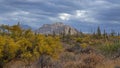 Wide Angle View Of A Desert Spring Landscape In Phoenix AZ Area Royalty Free Stock Photo