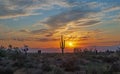 Wide Angle View Of A Desert Sunrise Landscape With Lone Saguaro Cactus Royalty Free Stock Photo