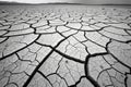 Severe drought cracking a vast, dry desert landscape under a stark sky. Royalty Free Stock Photo