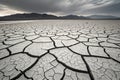 Severe drought cracking a vast, dry desert landscape under a stark sky. Royalty Free Stock Photo